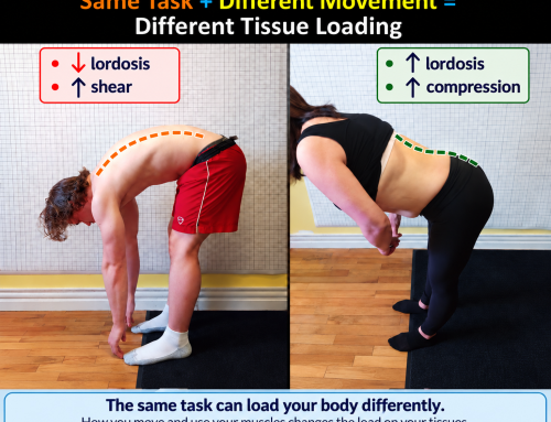 Two people. Same forward bend. Same load on the spine?